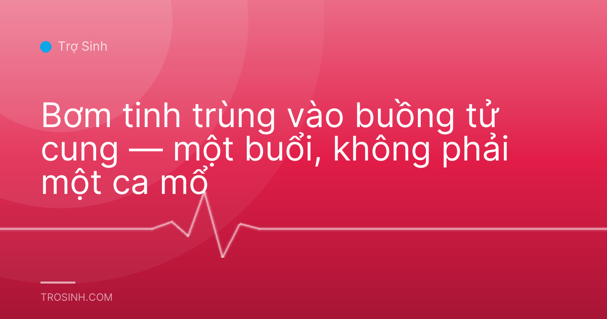 Bơm tinh trùng vào buồng tử cung — một buổi, không phải một ca mổ