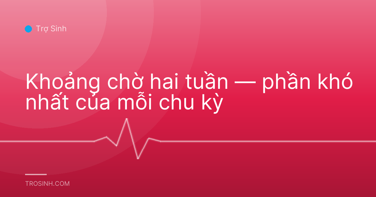 Khoảng chờ hai tuần — phần khó nhất của mỗi chu kỳ