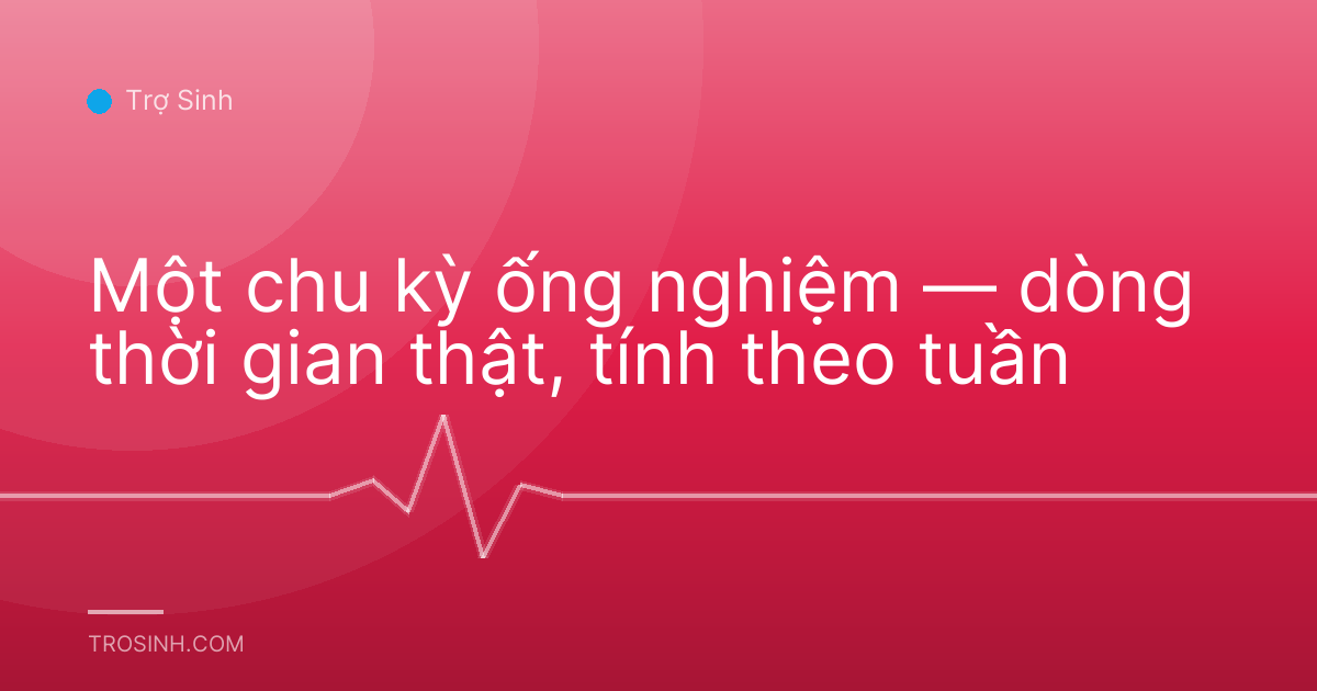 Một chu kỳ ống nghiệm — dòng thời gian thật, tính theo tuần