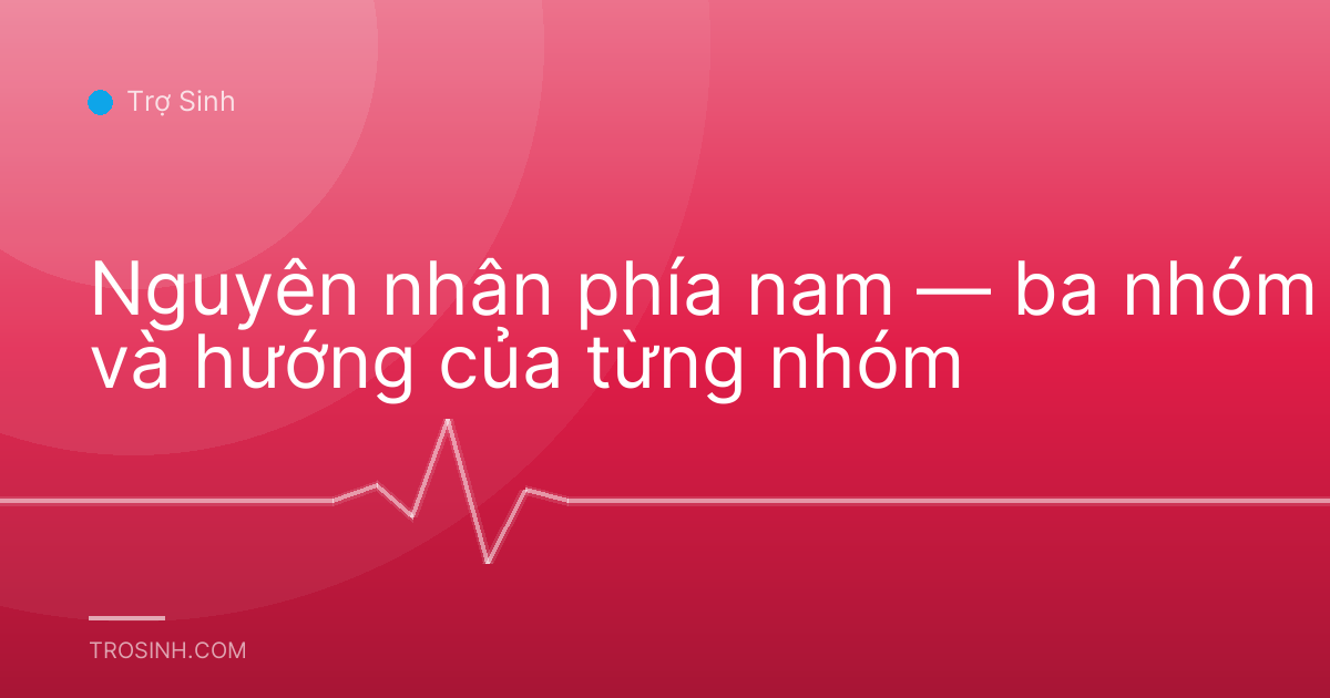 Nguyên nhân phía nam — ba nhóm và hướng của từng nhóm