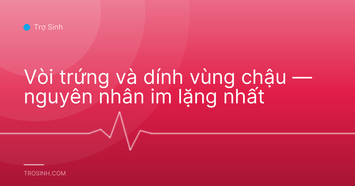 Vòi trứng và dính vùng chậu — nguyên nhân im lặng nhất